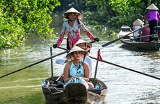 L’éco-hébergement pour un tourisme plus responsable au Vietnam