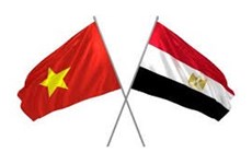 Le Vietnam et l'Egypte promeuvent le commerce et la connectivité des investissements
