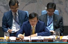Le Vietnam préside une réunion du Conseil de sécurité sur le Yémen