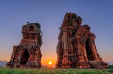 Les vestiges de la civilisation Cham à Binh Dinh