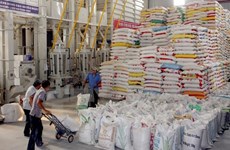 Le ministère de l'Industrie et du Commerce propose d'éliminer le quota d'exportation de riz