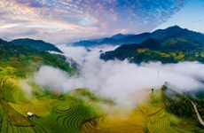 Journal américain: le Vietnam déterminé à relancer rapidement son tourisme