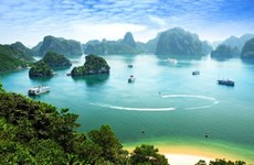 Le tourisme vietnamien en bonne posture sur son marché national