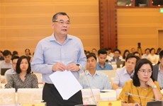 Affaire de Tenma : les organes compétents vietnamiens mènent des enquêtes