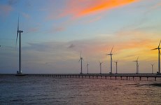 Le Vietnam, futur leader mondial de l'éolien offshore