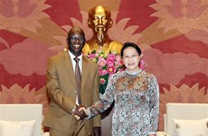 La présidente de l’AN reçoit le directeur national de la BM au Vietnam