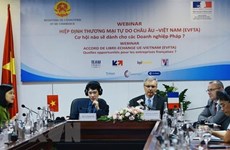 Chercher des moyens pour les entreprises du Vietnam et de la France de profiter de l'EVFTA