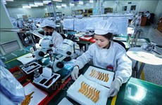 McKinsey & Company apprécie les perspectives de croissance du Vietnam