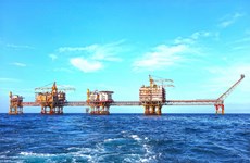 PetroVietnam achève l’augmentation des réserves de pétrole et de gaz