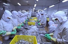 La Russie, marché potentiel des produits agricoles et aquatiques vietnamiens