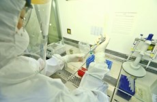 Coronavirus : cinq nouvelles contaminations exogènes, le bilan s’élève à 1.034 cas