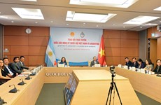 Vietnam-Argentine : échange virtuel sur les droits des femmes dans le contexte du COVID-19