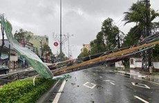 Le PM demande de remédier aux conséquences du typhon Molave