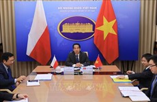 Vietnam-Pologne : consultation politique en ligne au niveau de vice-ministres 