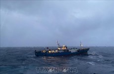 Un cargo russe en détresse remorqué par la marine vietnamienne