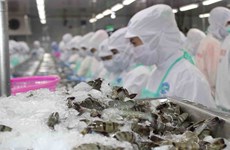 L'ASEAN, un marché porteur d'opportunités pour les crevettes