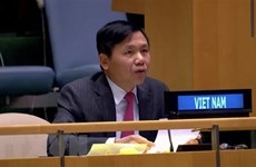 Le Vietnam soutient une coopération renforcée entre le CSNU et la CIJ