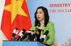 Le Vietnam récolte de nombreuses réalisations diplomatiques 
