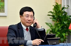 Le vice-PM et ministre des AE Pham Binh Minh s’entretient en ligne avec le ministre des AE du Brunei