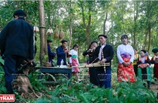 Le culte dédié au génie de la forêt, trait culturel original des H’Mông