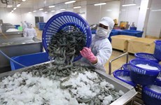 Crevettes : le Vietnam salue la décision des Etats-Unis concernant Minh Phu Seafood Corporation 