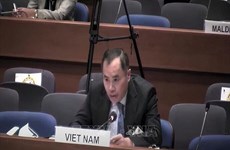 Covid-19: le Vietnam propose des solutions pour réduire les impacts sur les migrants