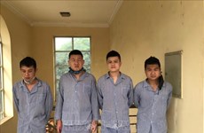 Quatre Chinois arrêtés pour entrée illégale dans la province de Tuyên Quang
