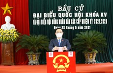 Le président de l’AN Vuong Dinh Huê vote à Hai Phong