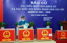 Les Vietnamiens votent pour les 15es élections législatives