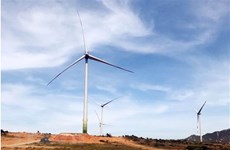 Energie éolienne : la BAD accorde un prêt de 116 millions de dollars au Vietnam