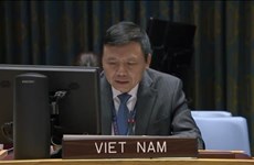 Le Vietnam affirme son engagement à promouvoir le rôle de la Charte des Nations Unies