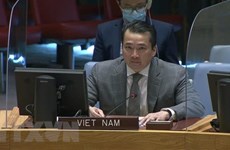 Le Vietnam appelle à relever les défis complexes en RCA et en Syrie