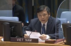 Le Vietnam appelle à davantage d'efforts pour stabiliser la situation en Bosnie-Herzégovine 