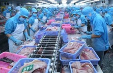 Antidumping : un résultat encourageant pour les poissons pangasius vietnamiens aux Etats-Unis