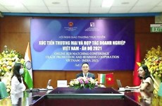 Pharmacie et énergies renouvelables,  nouveau moteur pour les liens commerciaux Vietnam-Inde 