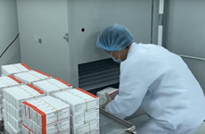 Le Vietnam avance dans la coopération pour le transfert de technologie vaccinale anti-COVID-19