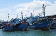 Pêche INN : le Vietnam décidé à faire retirer le "carton jaune"