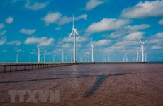 Le Vietnam vise à produire 3.000-5.000 MW d'éolien offshore d'ici 2030
