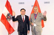 Le président de l’AN assiste à un forum d’entreprises Vietnam-Autriche