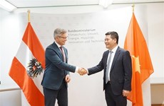 Le Vietnam et l'Autriche discutent de leur coopération dans le domaine de l’énergie