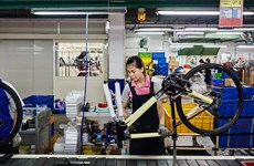 Le premier fabricant mondial de vélos GIANT implanterait une usine au Vietnam
