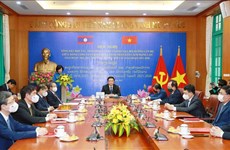 Vietnam-Laos : Conférence en ligne sur la coopération entre les deux Partis dans plusieurs domaines