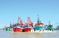 Bac Liêu respecte la réglementation de la pêche hauturière