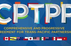 Le Vietnam est prêt à partager ses informations et ses expériences sur l’adhésion au CPTPP