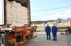 Hô Chi Minh-Ville recevra 56.555 tonnes de riz de la réserve nationale
