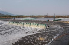 Le MARD approuve un projet d’aquaculture durable dans le delta du Mékong 