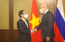 Le ministre des AE Bui Thanh Son rencontre le vice-PM russe Dmitry Chernychenko