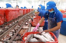 Le Vietnam appelle à plus d'investissements de l'UE dans l'agriculture