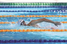 La natation vietnamienne continue sa quête de coach étranger