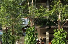 Un café vert à Hôi An apparaît sur le magazine américain Archdaily 